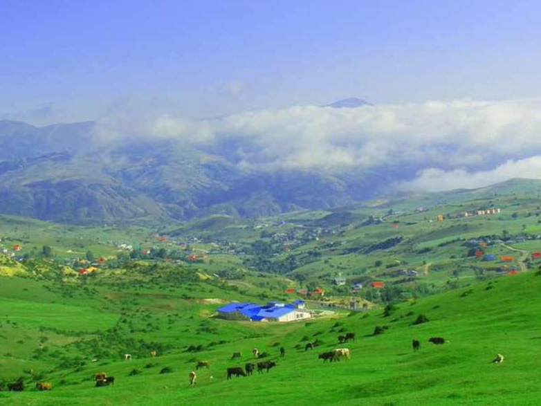 [جواهر دشت